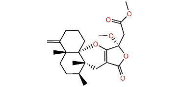 Dactylolactone B